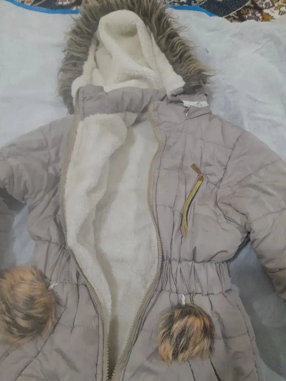 کاپشن و پولیور و کفش|کفش و لباس بچه|نورآباد, |دیوار