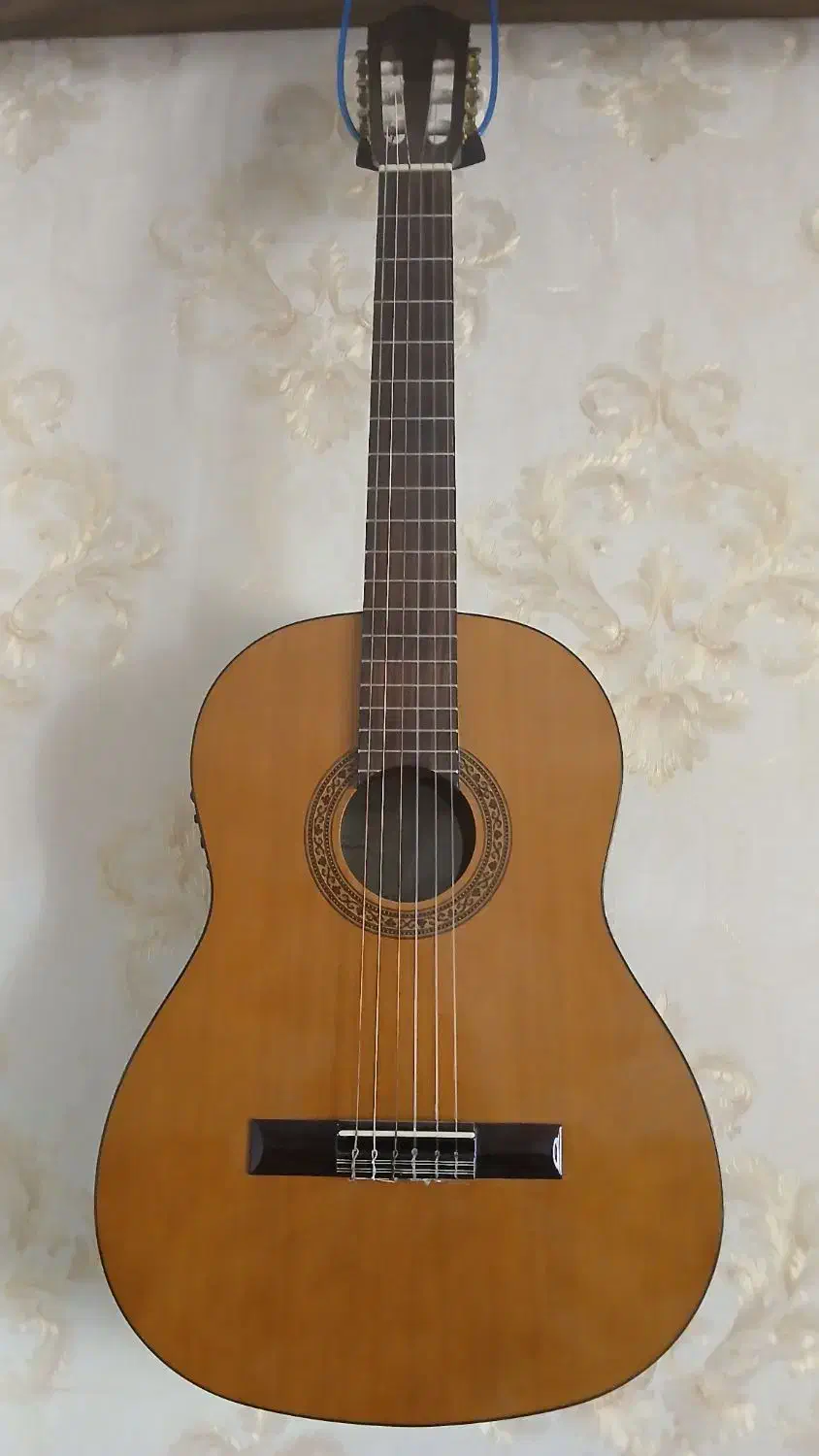 گیتار هافنر آلمان|گیتار، بیس، امپلیفایر|چناران, |دیوار