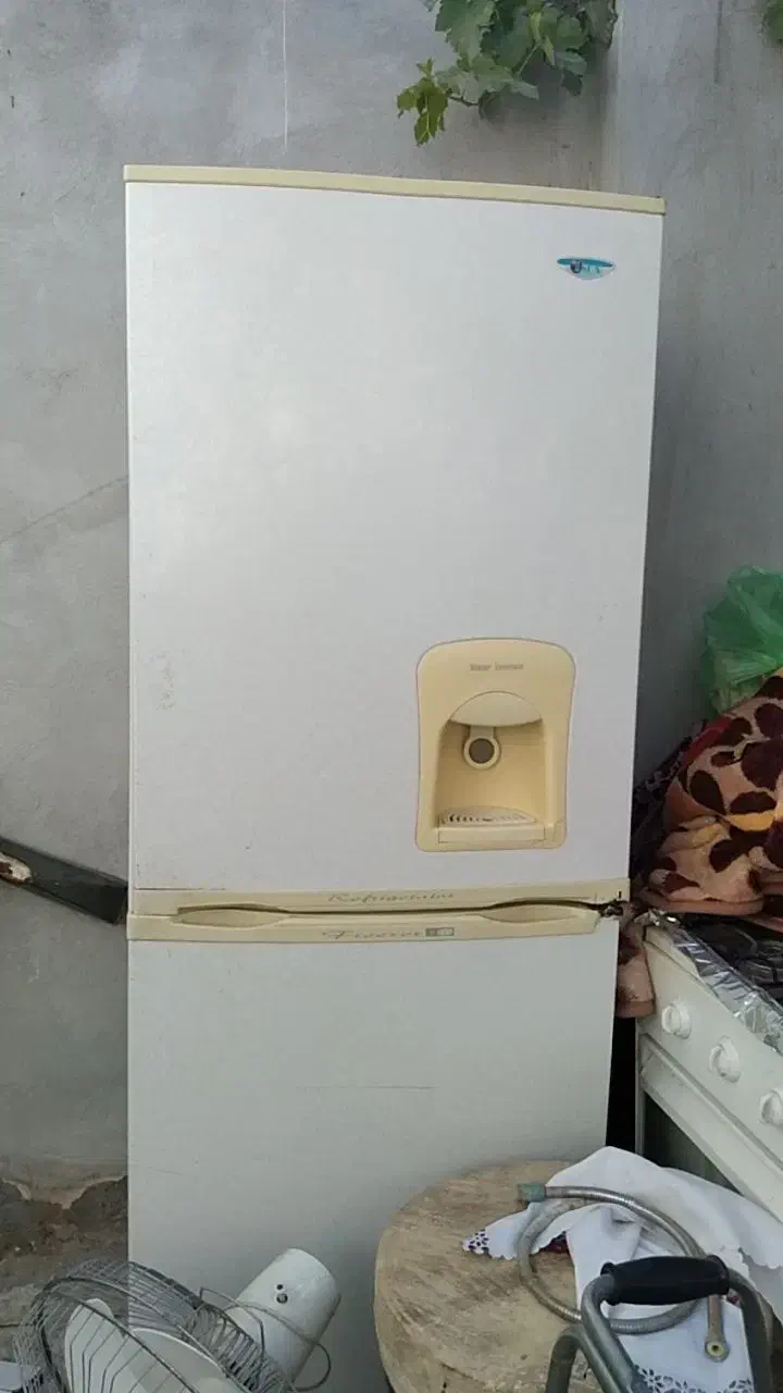 یخچال سالم و لوازم برقی وتوستر|یخچال و فریزر|تربتحیدریه, منظر|دیوار