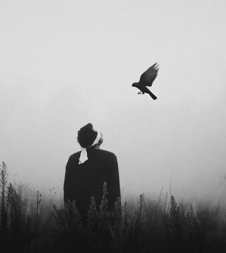 دعا و روزی|خدمات پذیرایی، مراسم|بندرعباس, |دیوار