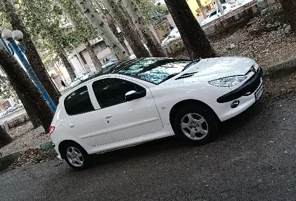 206 سقف شیشه ای|خودرو سواری و وانت|صحنه, |دیوار