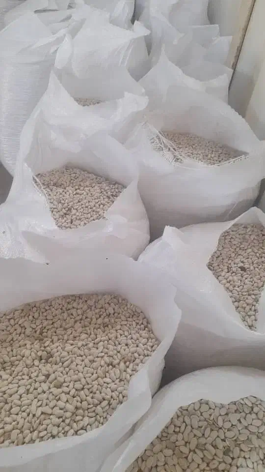 لوبیا سفید درجه یک بوجار شده قیمت عمده|خوردنی و آشامیدنی|قم, کوه سفید|دیوار