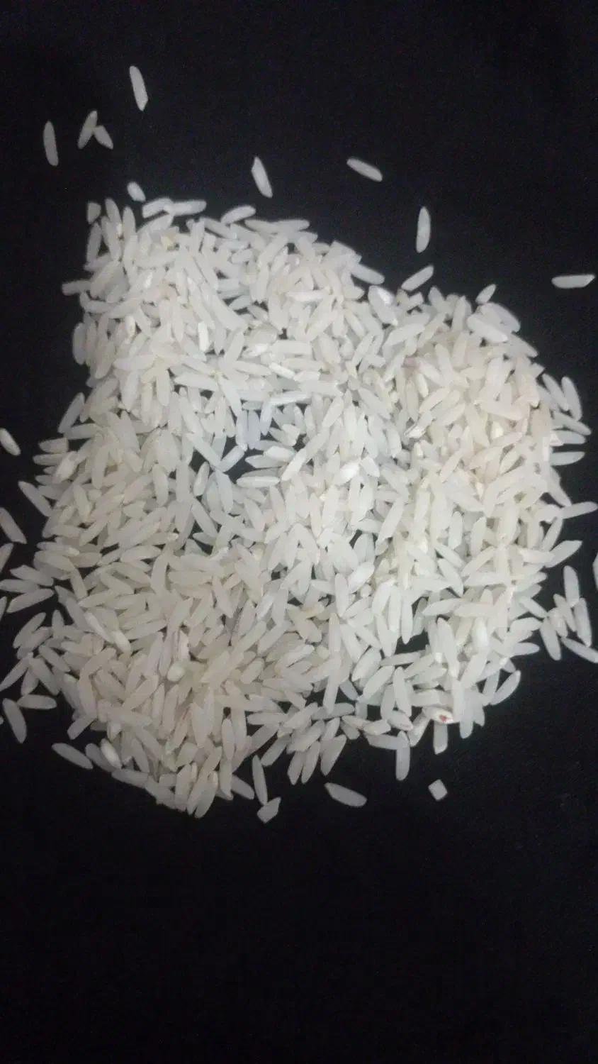 برنج طارم هاشمی|عمدهفروشی|قائمشهر, |دیوار