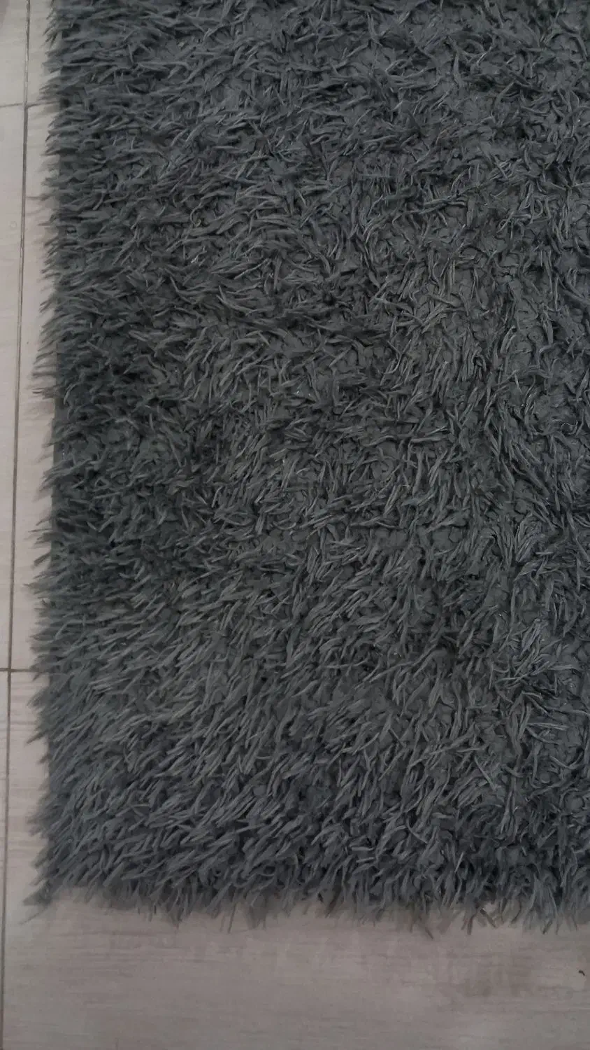 فرش ۶ متری|فرش|ساری, |دیوار