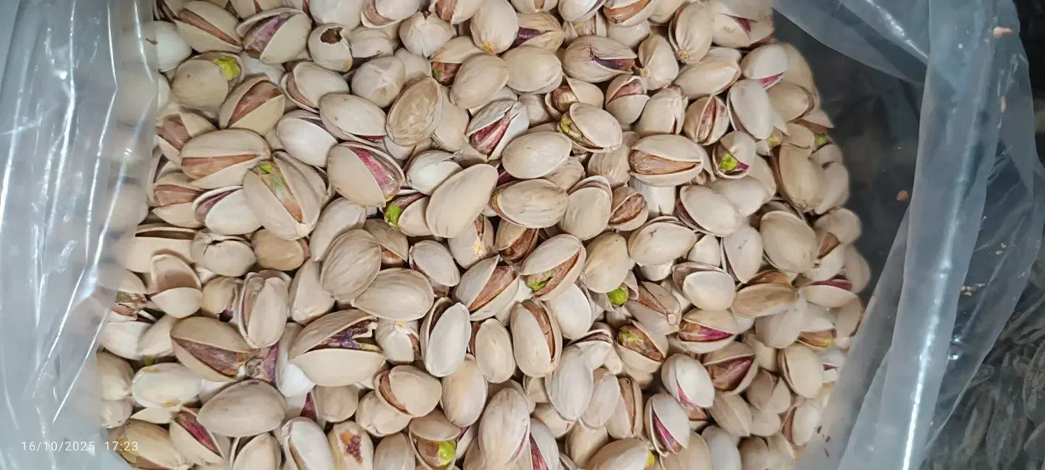 گردو، پسته|خوردنی و آشامیدنی|قم, نخودی|دیوار