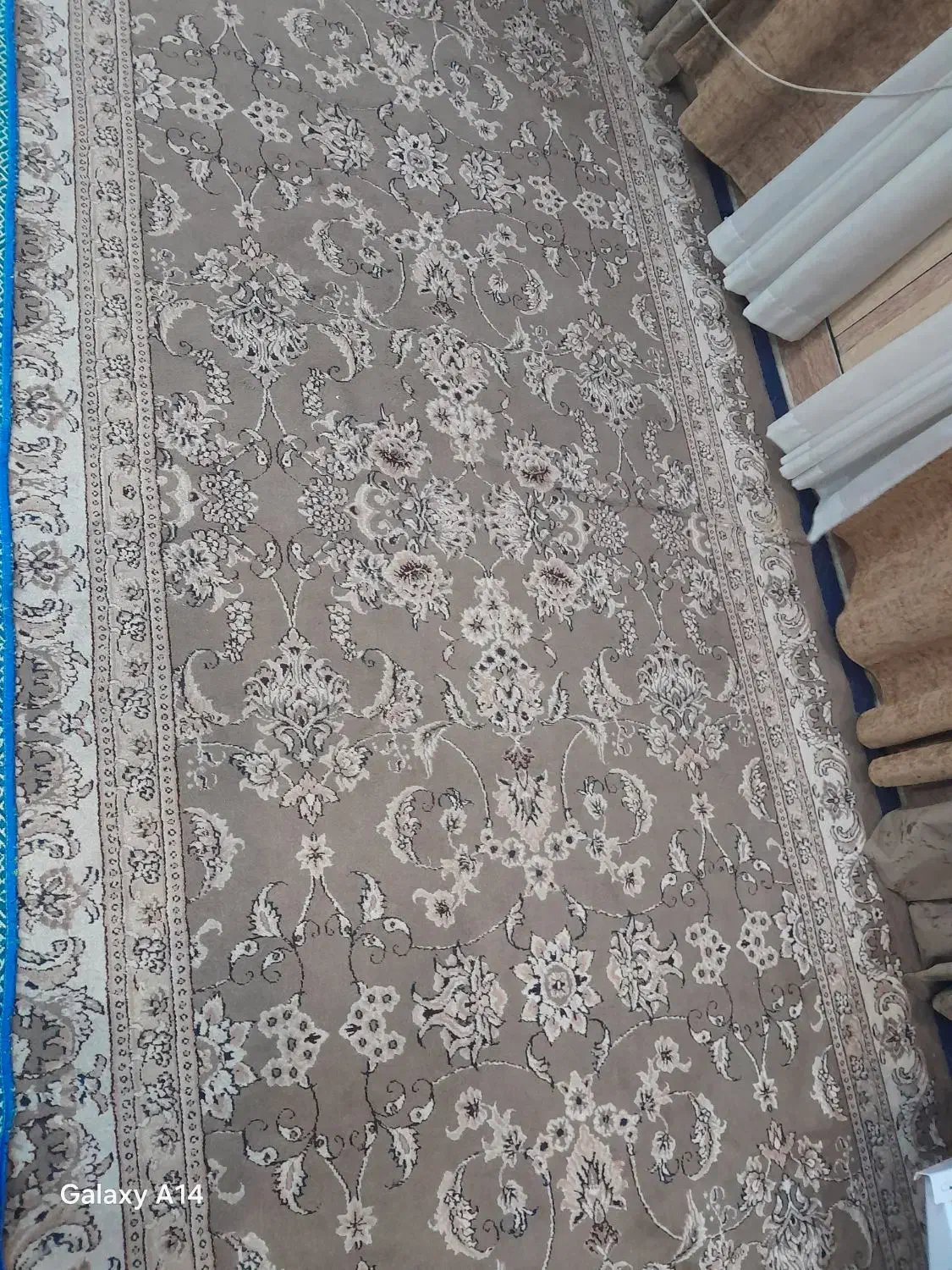 فرش|فرش|کارون, |دیوار