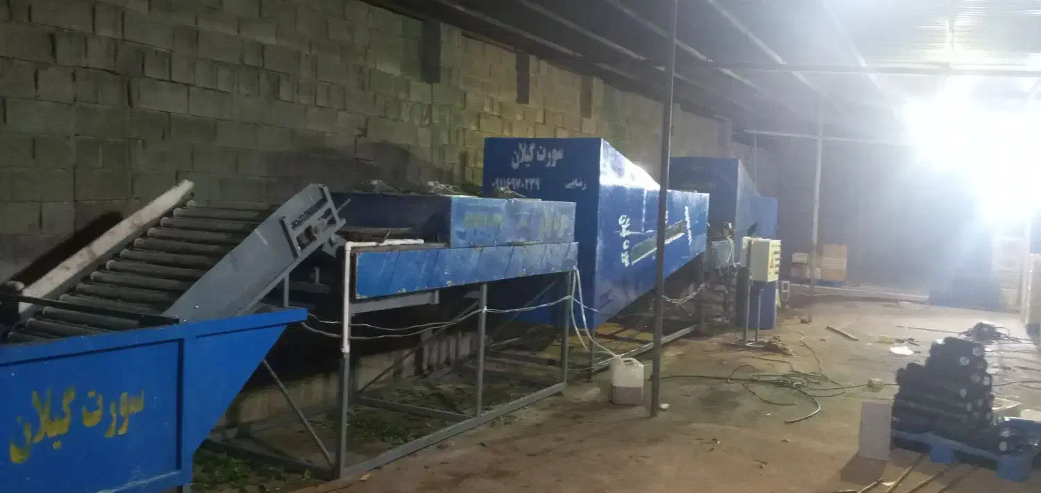 خط کامل سورتینگ کلرشور واکس سایزینگ فرچه شستشو|ماشینآلات صنعتی|رودسر, |دیوار