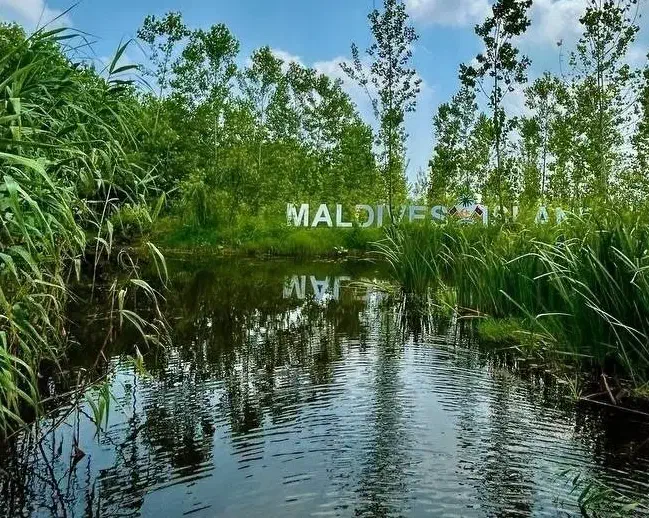 سود دهی بالا در قلب جنگل|فروش خانه و ویلا|صباشهر, |دیوار