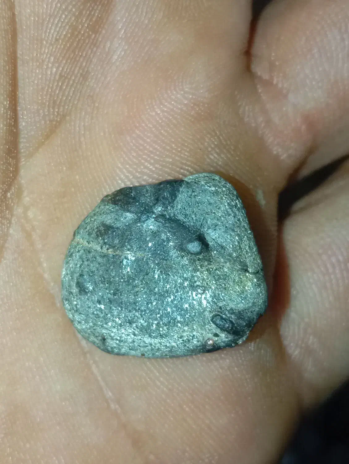 نشان دار|کلکسیون و سرگرمی|شیراز, لب آب|دیوار