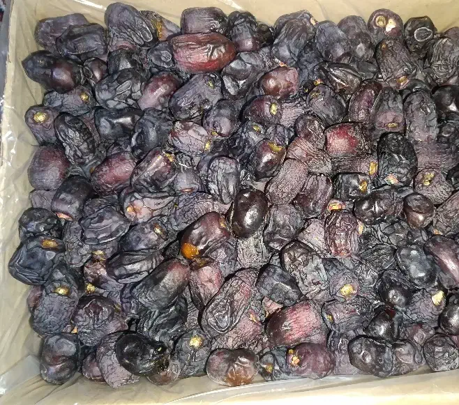 خرما فله 5 کیلویی|خوردنی و آشامیدنی|بم, |دیوار