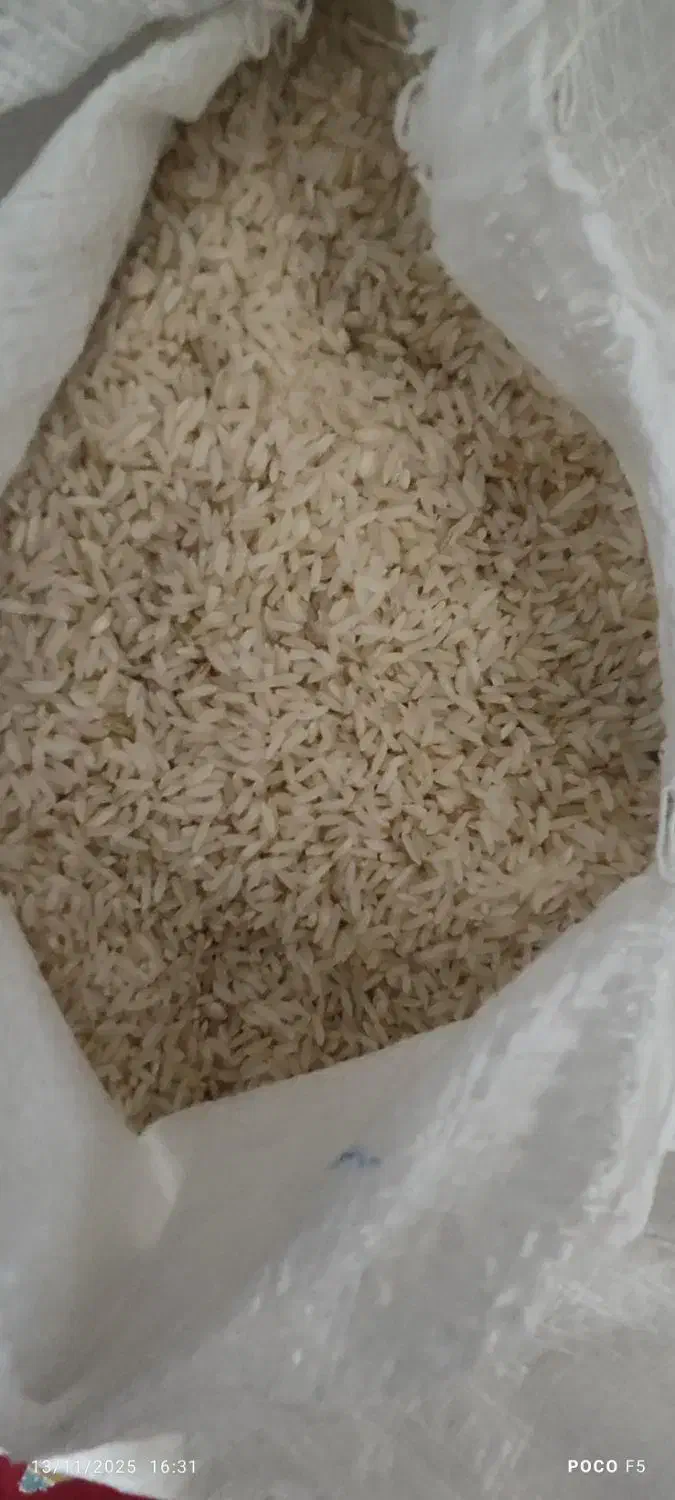 برنج هاشمی|خوردنی و آشامیدنی|بروجرد, |دیوار