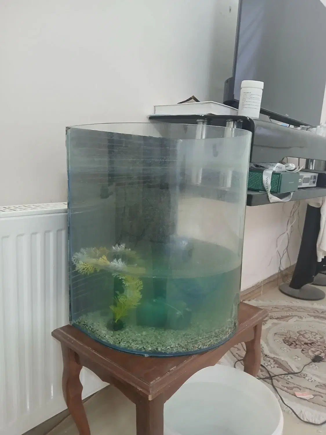 اکواریوم با سه عدد ماهی و غذای ماهی|ماهی|گلبهار, شهر جدید گلبهار|دیوار