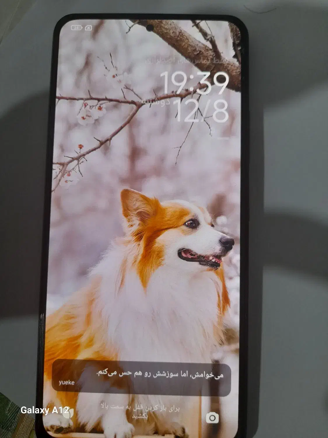 شیامی می ۱۱ ای|موبایل|نورآباد ممسنی, |دیوار