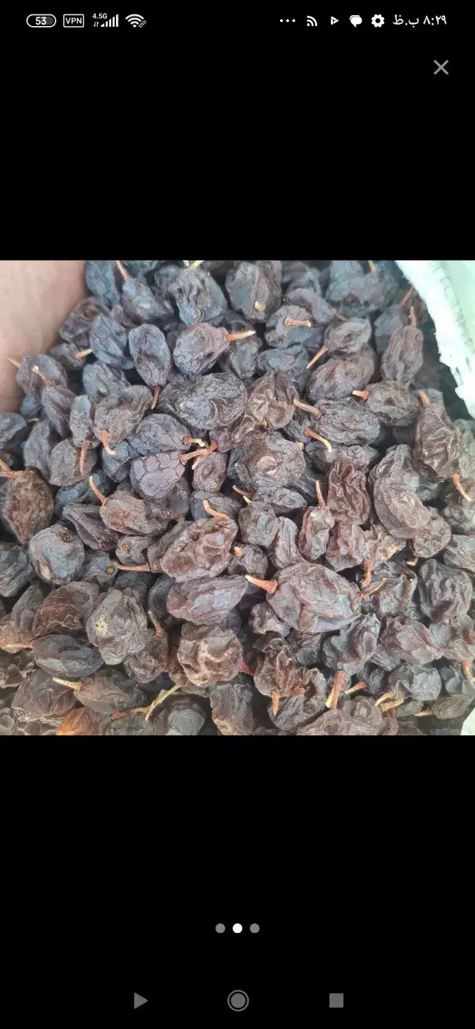 مویز کشمش|خوردنی و آشامیدنی|شیراز, کوشک میدان|دیوار