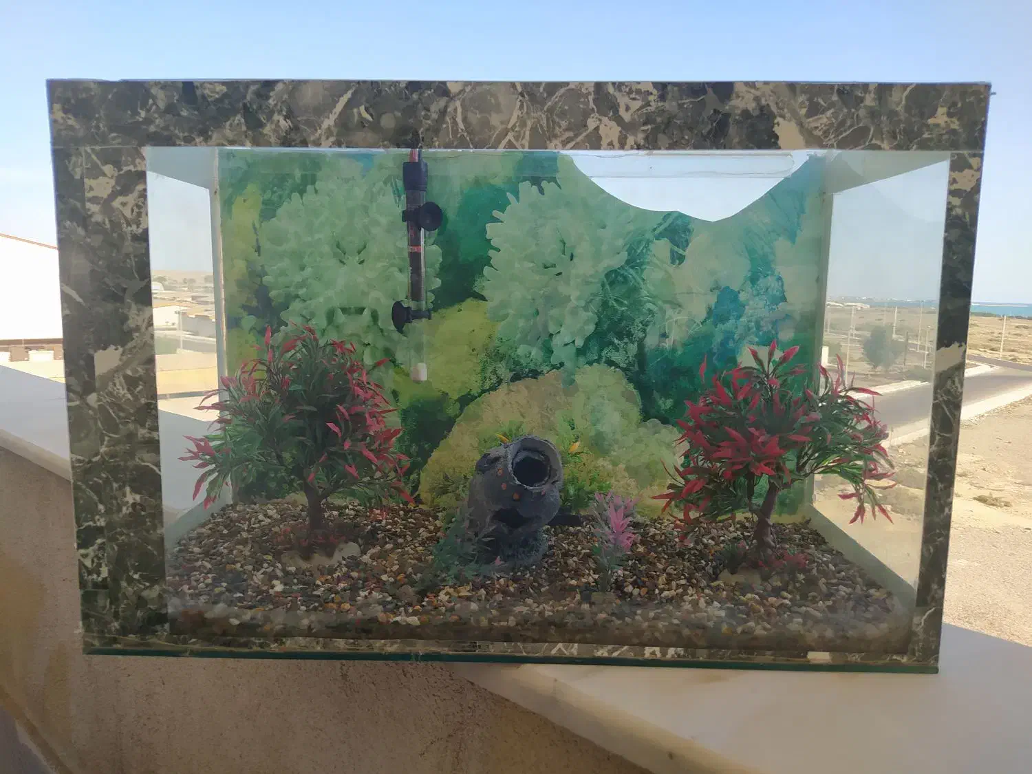 آکواریوم ماهی سایز بزرگ|ماهی|کنارک, |دیوار