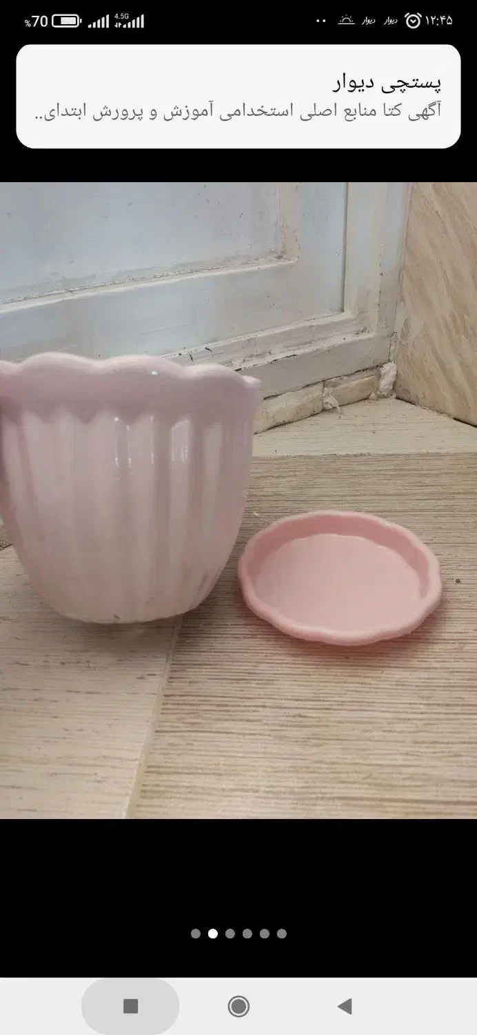 گلدان سفالی|گل و گیاه طبیعی|جیرفت, |دیوار