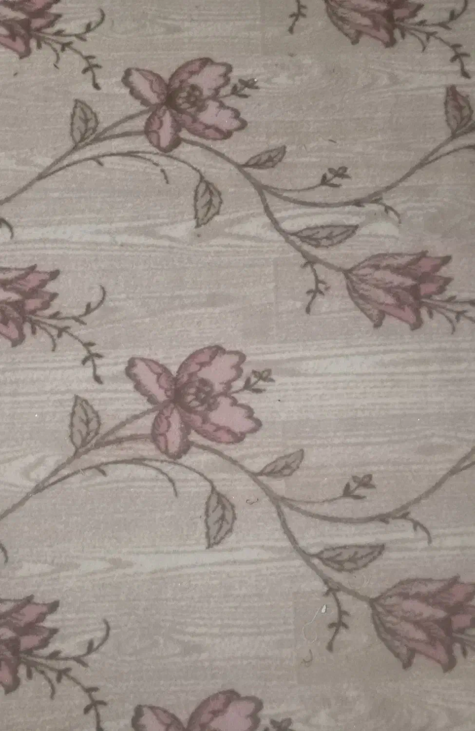 موکت|موکت|نیشابور, هفده شهریور|دیوار