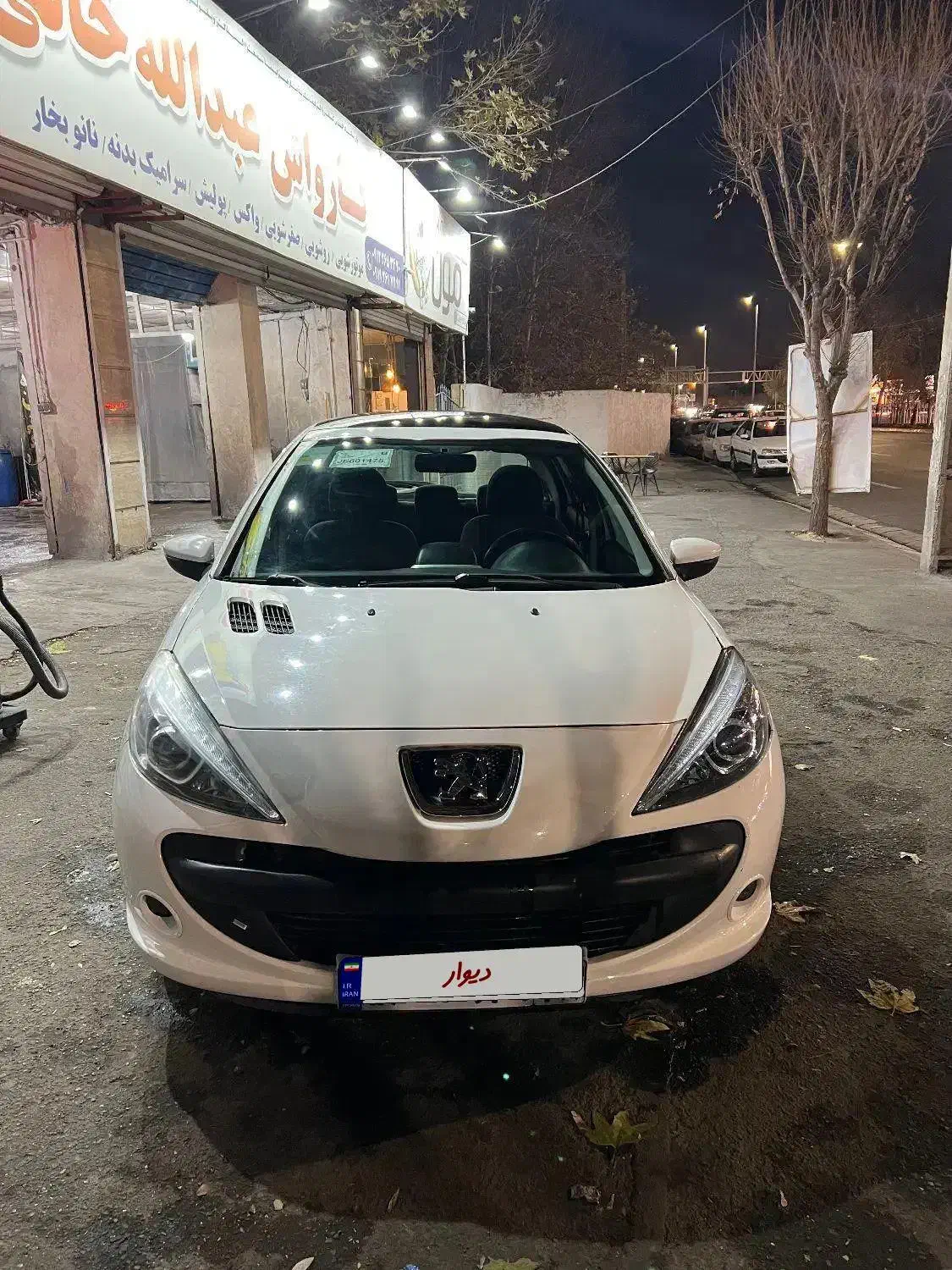 207 پانا بی رنگ|خودرو سواری و وانت|کرج, عظیمیه|دیوار