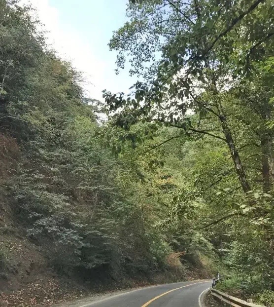 همسفر خ به شمال|فعالیت داوطلبانه|مهاباد (آذربایجان غربی), |دیوار