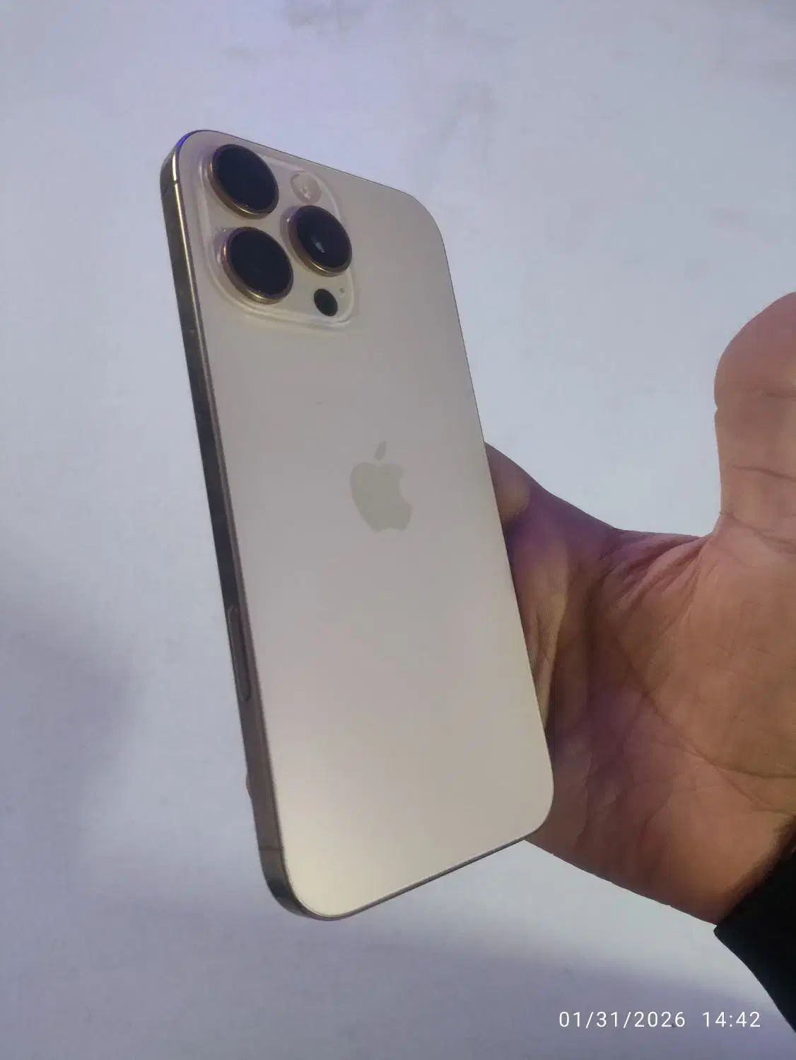 16 pro max|موبایل|بیرجند, |دیوار