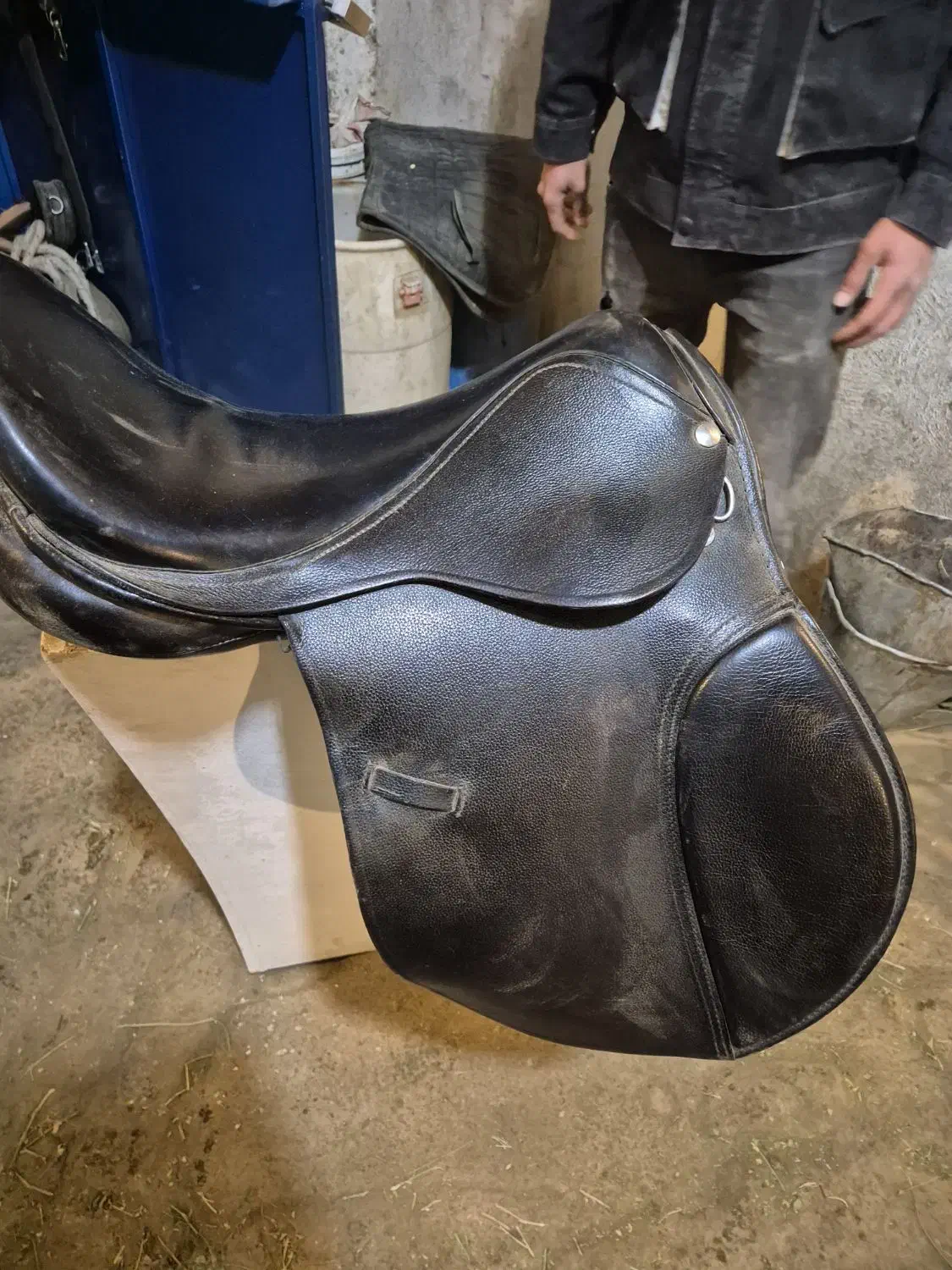 زین پرشی|اسب و تجهیزات اسب‌سواری|تهران, دروس|دیوار