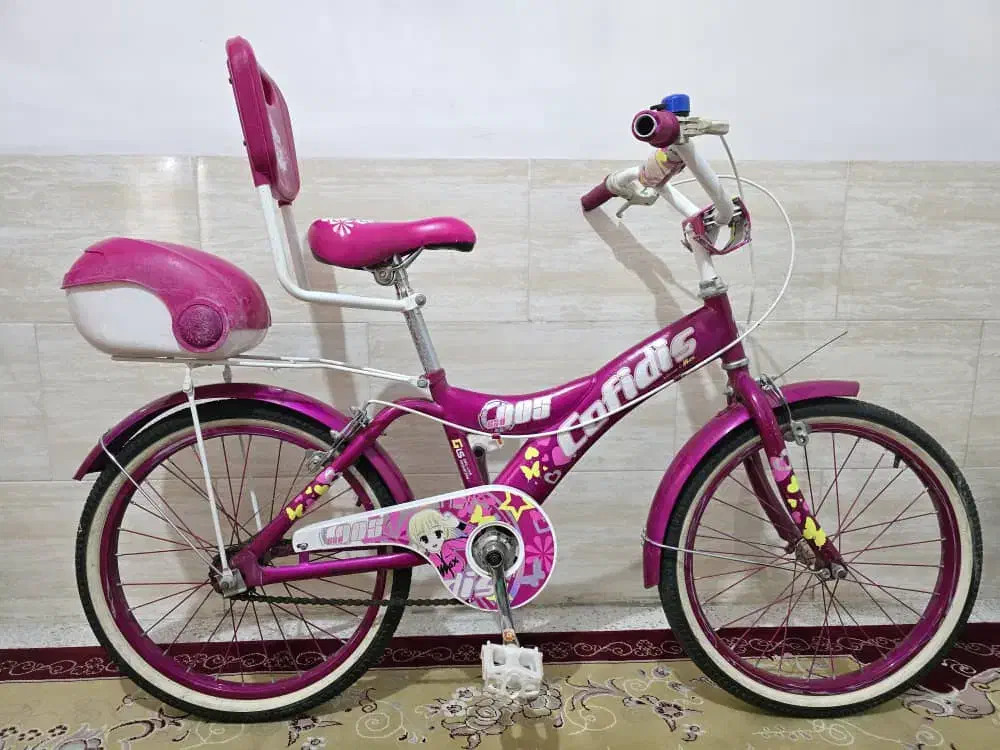 دوچرخه ۲۰ دخترانه|دوچرخه، اسکیت، اسکوتر|شیراز, شهرک رضوان|دیوار