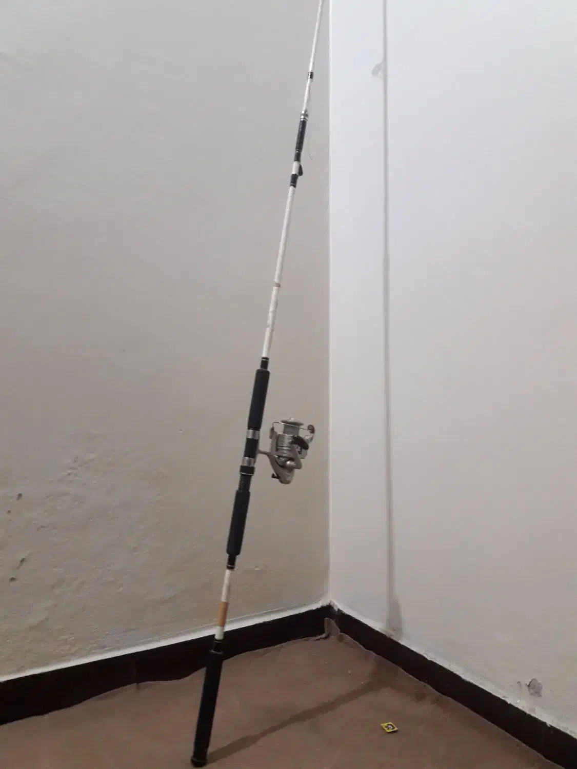 لنسر اکوادور۱۰۱۳|ماهیگیری|ایذه, |دیوار