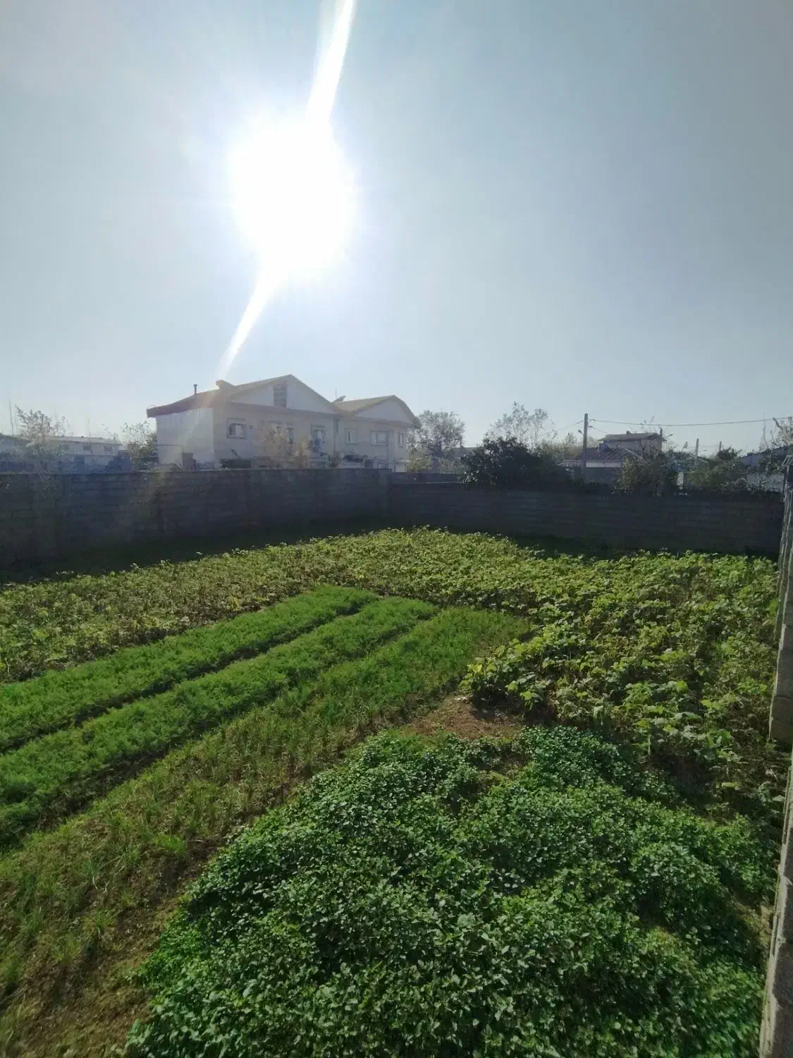 فروش زمین ۳۰۰متری سند دار دور دیوار در رشت آتشگاه|فروش زمین و ملک کلنگی|رشت, آتشگاه|دیوار