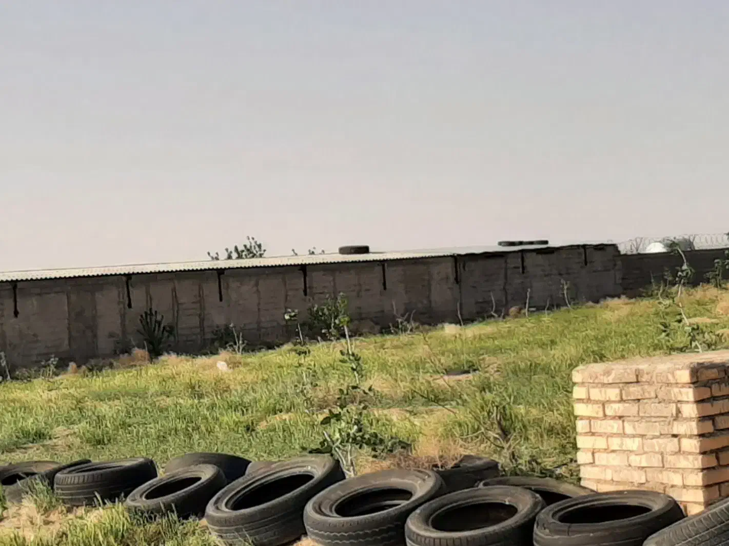 ۷۰۰۰هزارمتر زمین دارای نهال پسته پیوندی وبار دار|فروش دفتر صنعتی، کشاورزی، تجاری|تربت جام, میان جام|دیوار