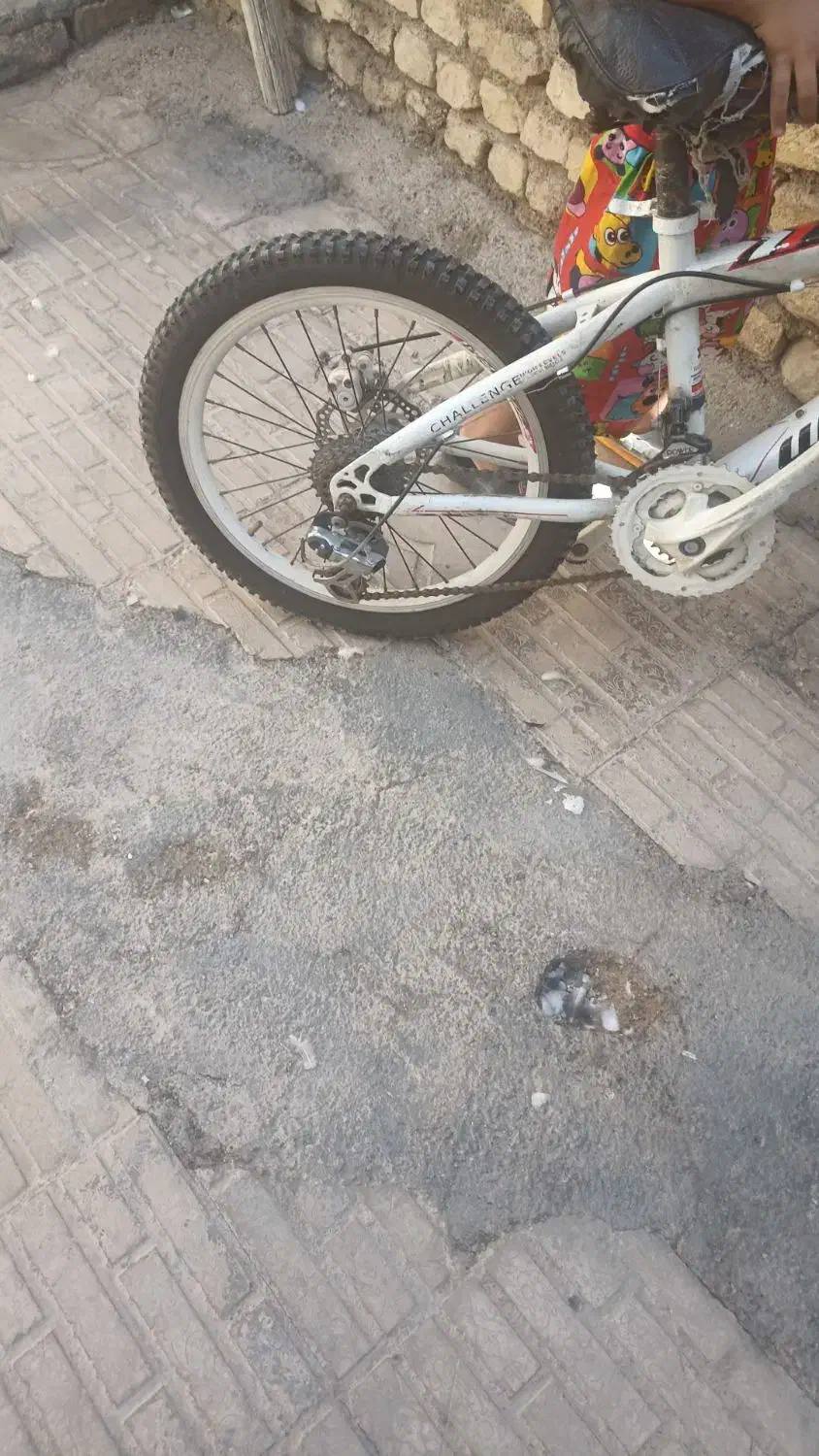 دوچرخه۲۶|دوچرخه، اسکیت، اسکوتر|فسا, |دیوار