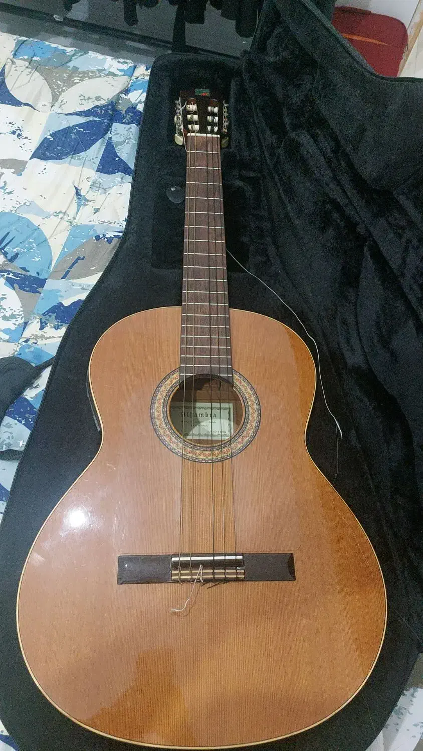 گیتار|گیتار، بیس، امپلیفایر|گنبد کاووس, |دیوار