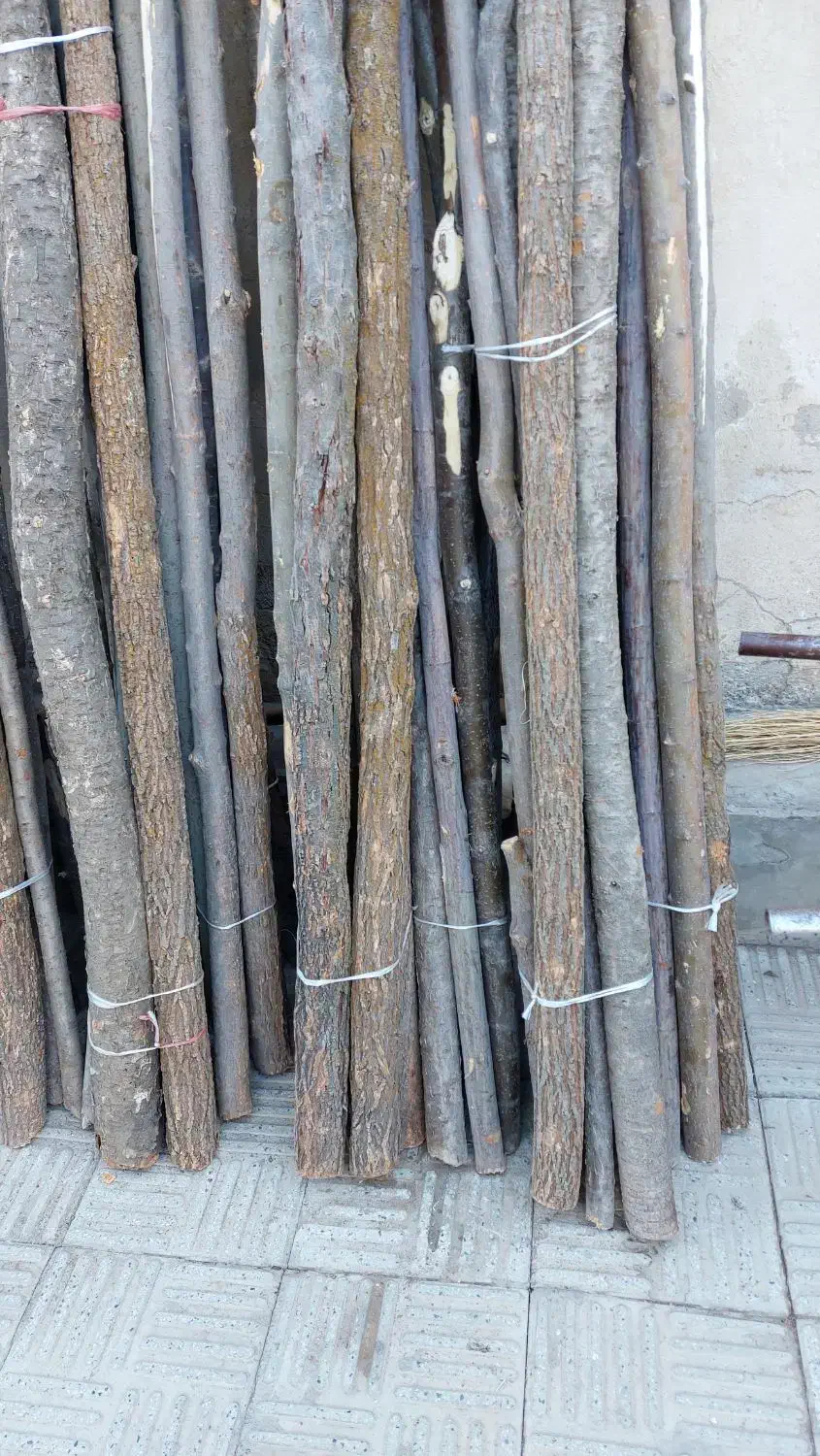 چوب|عمدهفروشی|تهران, تسلیحات|دیوار