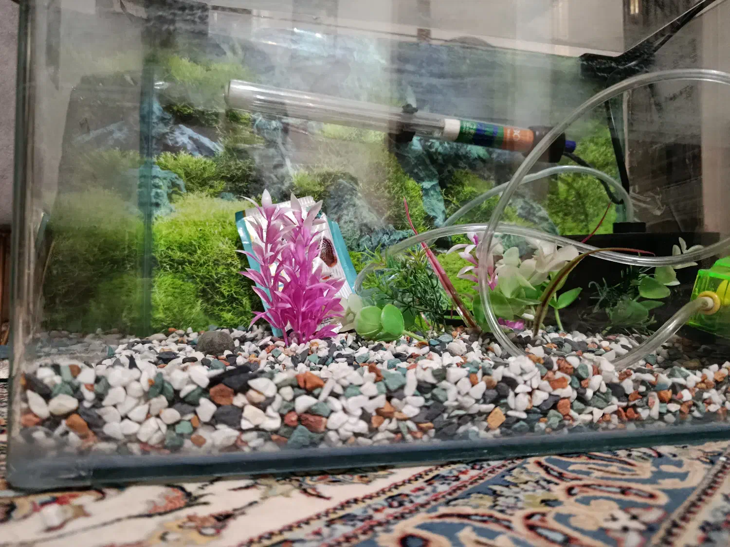 آکواریوم|ماهی|تهران, خزانه|دیوار