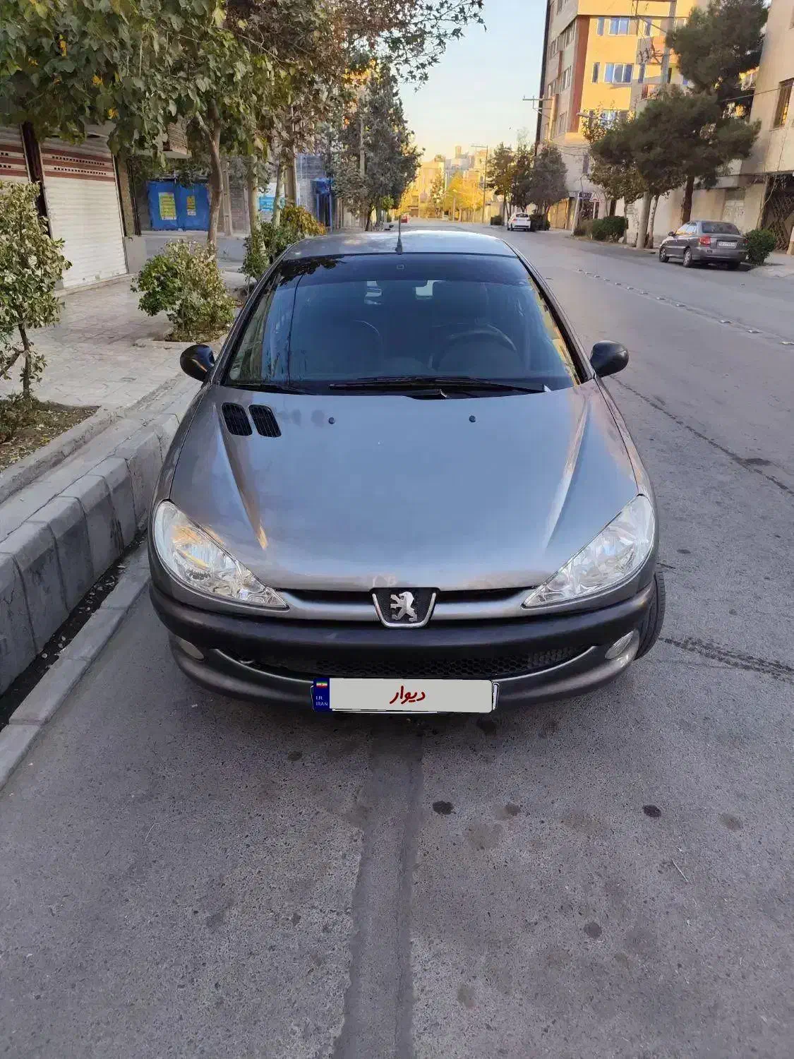 پژو ۲۰۶|خودرو سواری و وانت|مشهد, تربیت (صدف)|دیوار