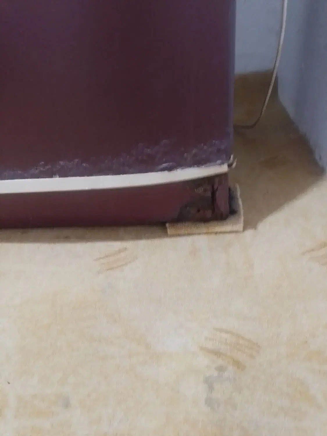 یخچال دو درب فیلور|یخچال و فریزر|هادی شهر, |دیوار