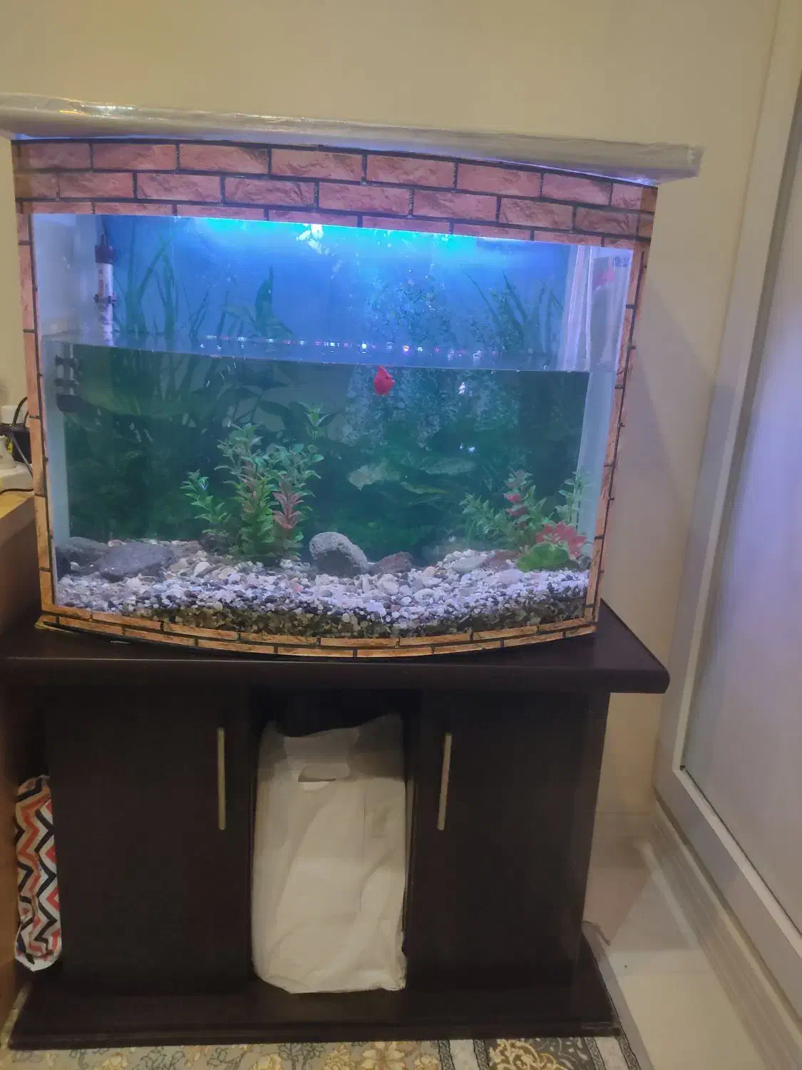 آکواریوم شیشه خم به همراه میز|ماهی|اندیشه, اندیشه فاز ۱|دیوار