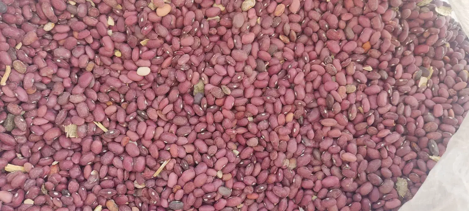 لوبیا قرمز|خوردنی و آشامیدنی|بیرانوند, |دیوار