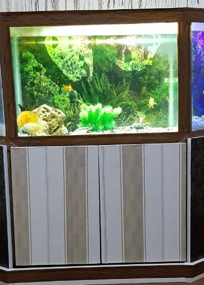 آکواریم|ماهی|خرم‌آباد, |دیوار