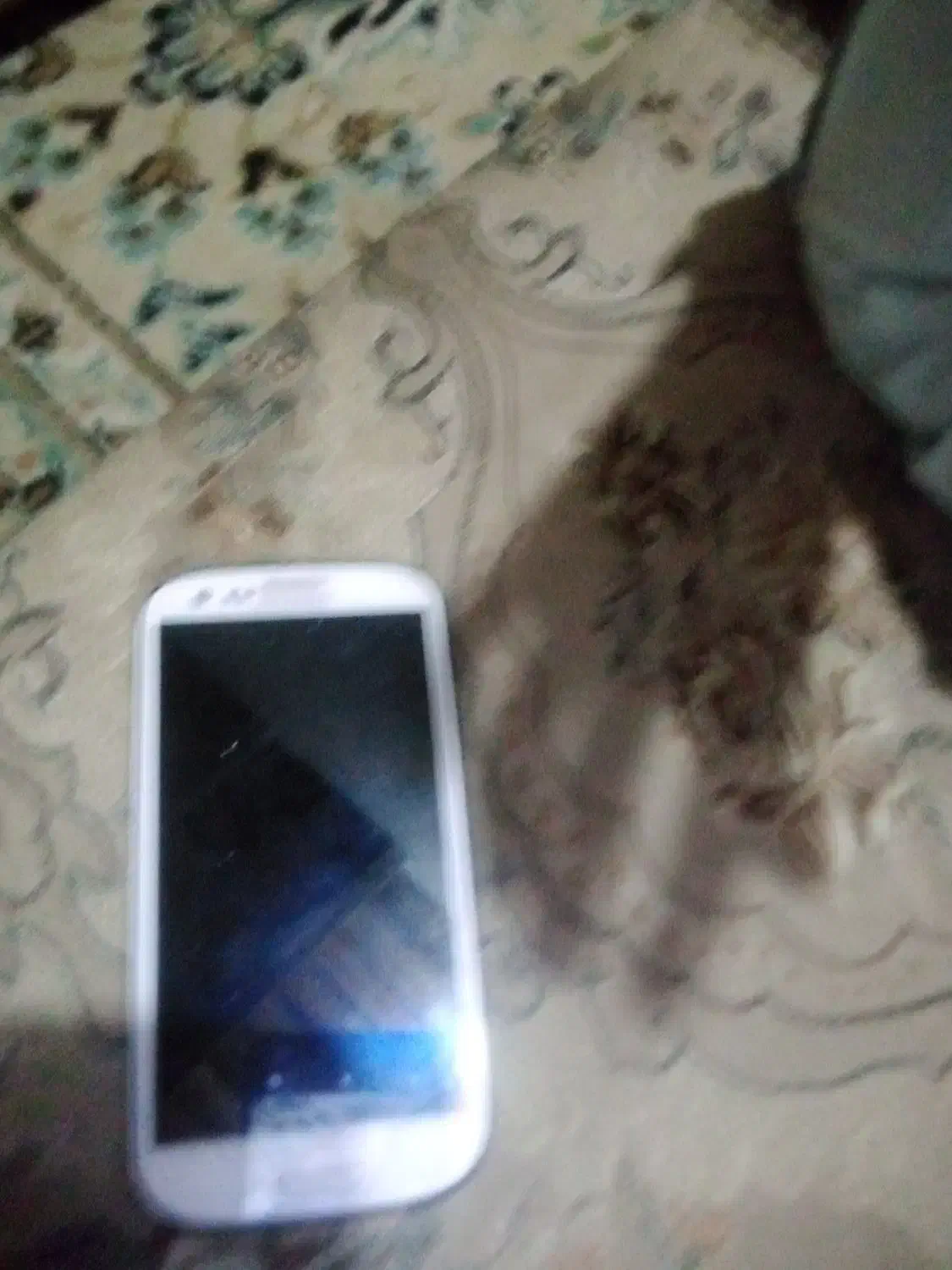 گوشی سامسونگ|موبایل|پشتکوه (سیستان و بلوچستان), |دیوار