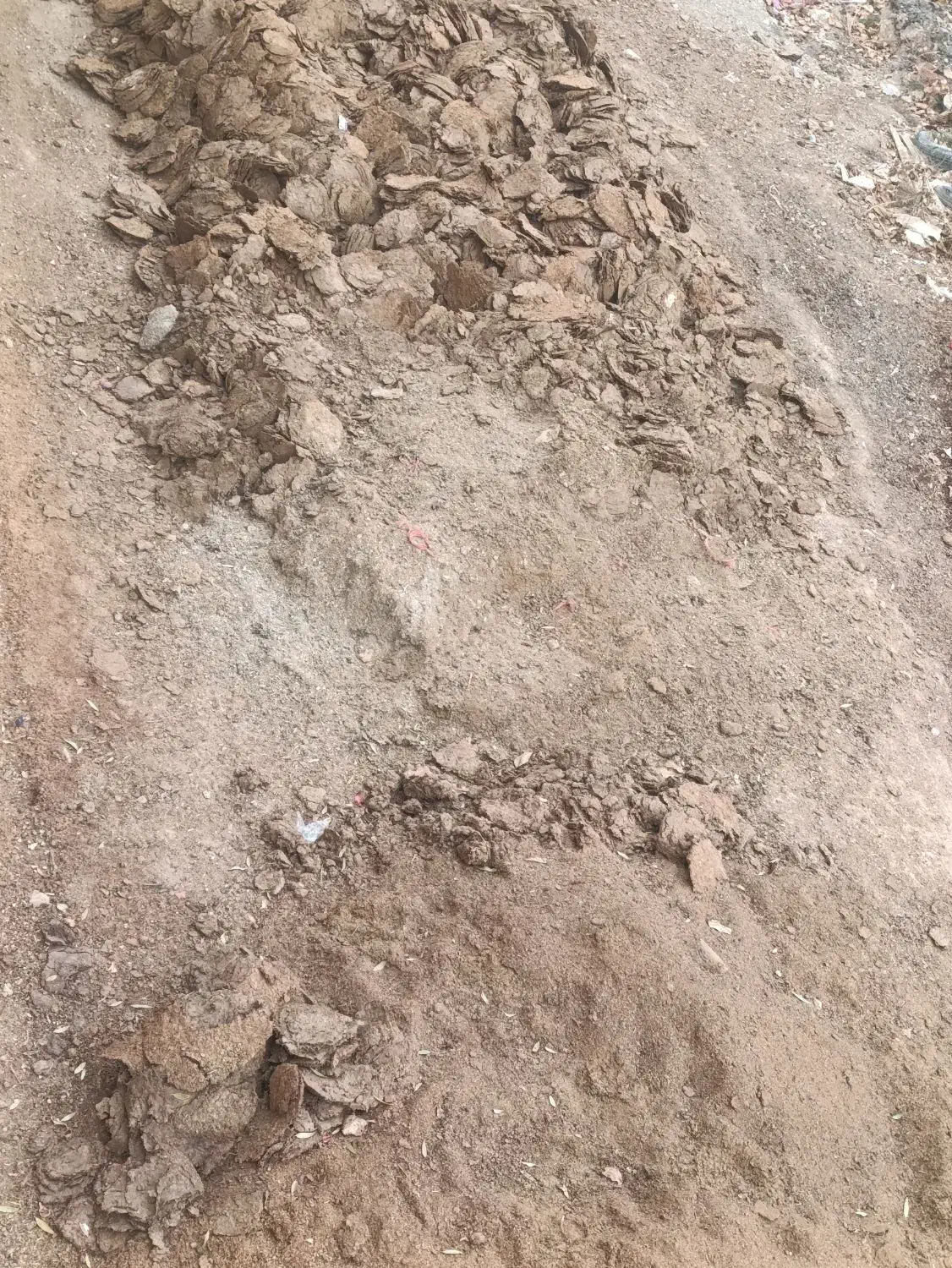 کود گوسفندی تازه|لوازم جانبی حیوانات|شراء, |دیوار