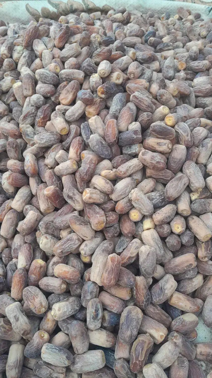 خرما ارگانیک|خوردنی و آشامیدنی|خاش, |دیوار