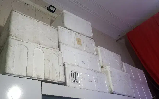 یخدان|ظروف نگهدارنده، پلاستیکی، یک‌بارمصرف|زاهدان, |دیوار