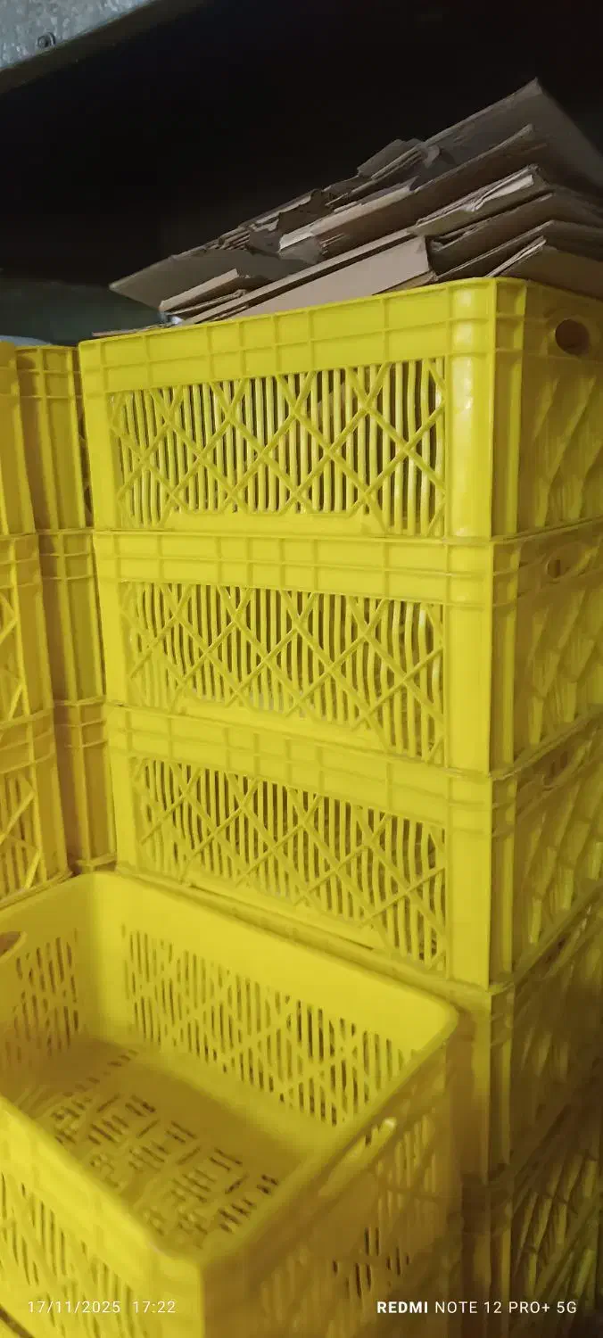 قفس حمل مرغ گرم 2 کیلویی مواد نو|فروشگاه و مغازه|داراب, |دیوار