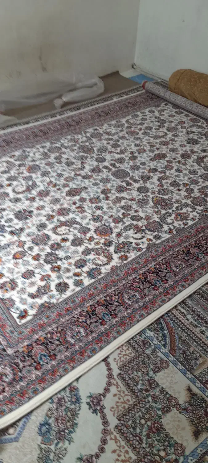 ۶ متری نو|فرش|کرمانشاه, |دیوار