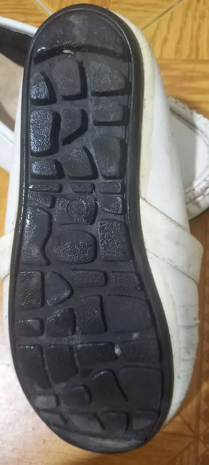 کالج|کیف، کفش، کمربند|رشت, معلم|دیوار