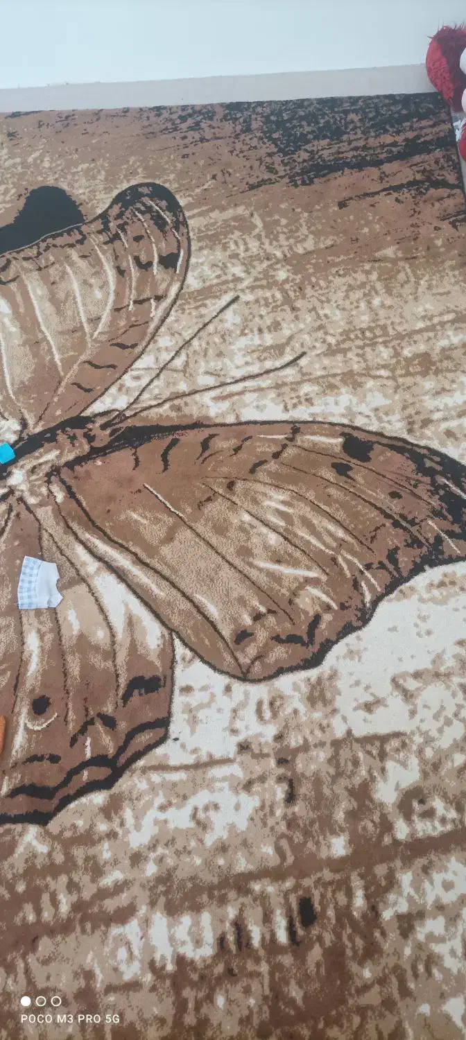 فرش فانتری ۶متری|فرش|ارومیه, |دیوار