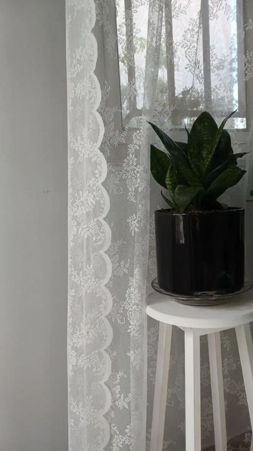 یک جفت پرده تور ایکیا نو|پرده، رانر، رومیزی|سلمانشهر, |دیوار