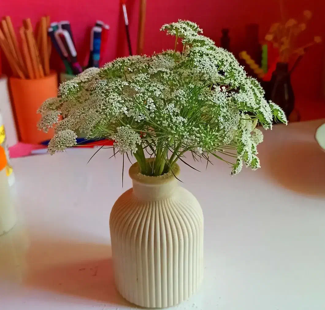 وسایل دکوری|مجسمه، تندیس، ماکت|بوکان, |دیوار