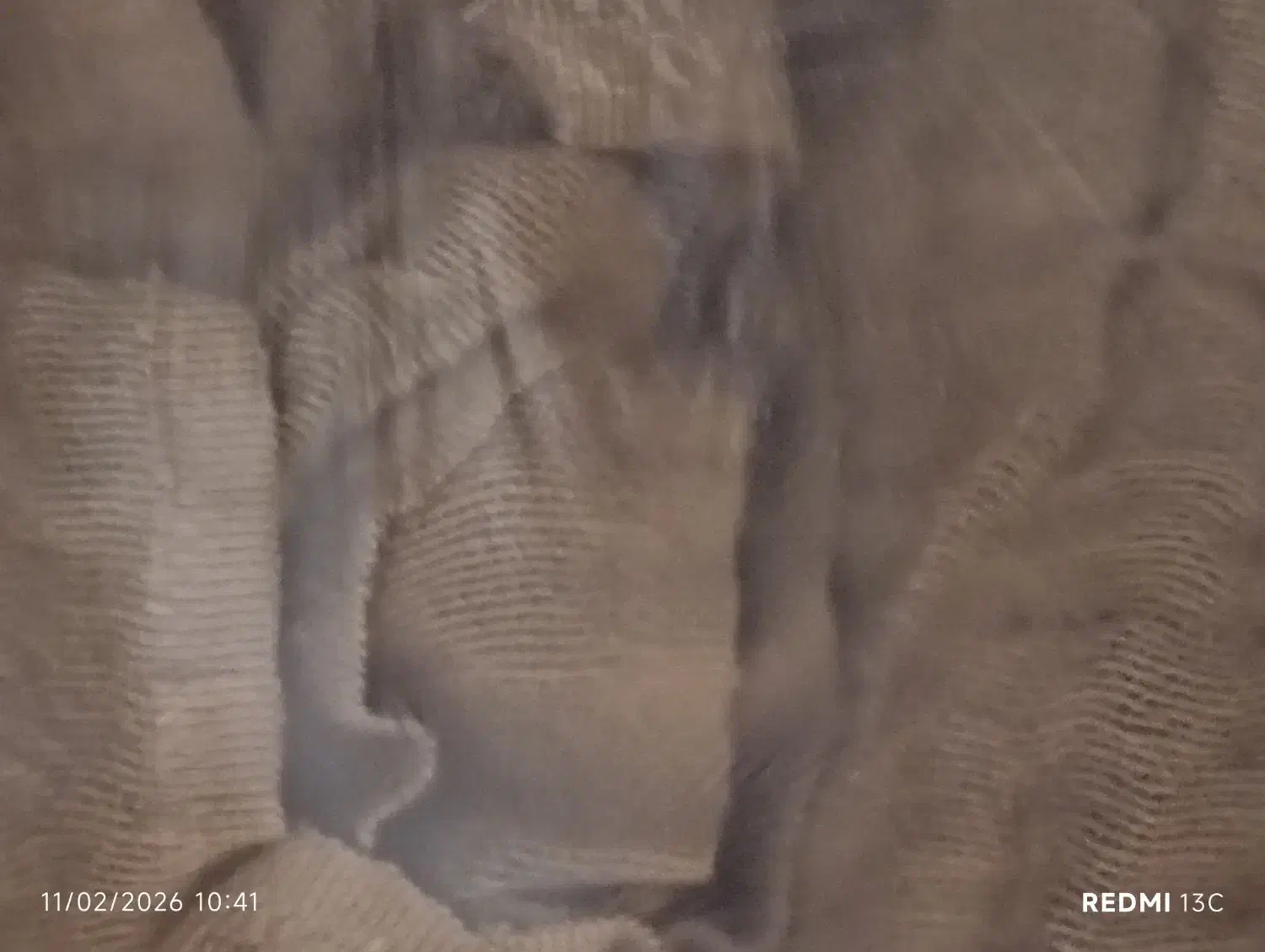 گونی کنفی|گلیم، جاجیم، گبه|قم, باغ شریفی|دیوار