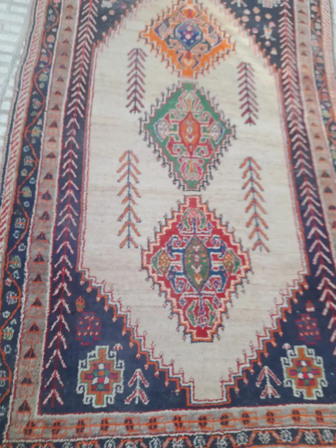 قالی دستباف ترکی|فرش|شیراز, احمدآباد|دیوار